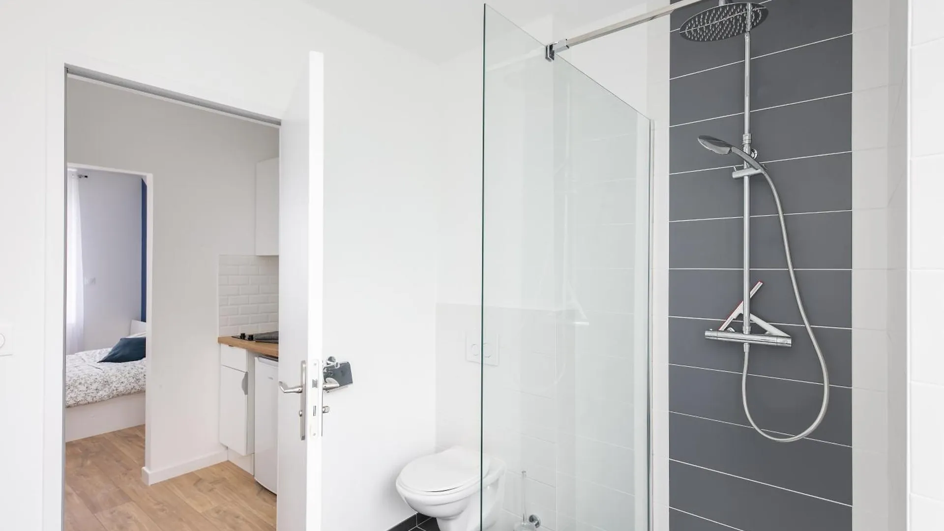 Big Aille Apartment Brest